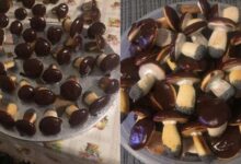 Photo of Находи вдохновение с Pinterest