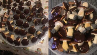 Photo of Находи вдохновение с Pinterest